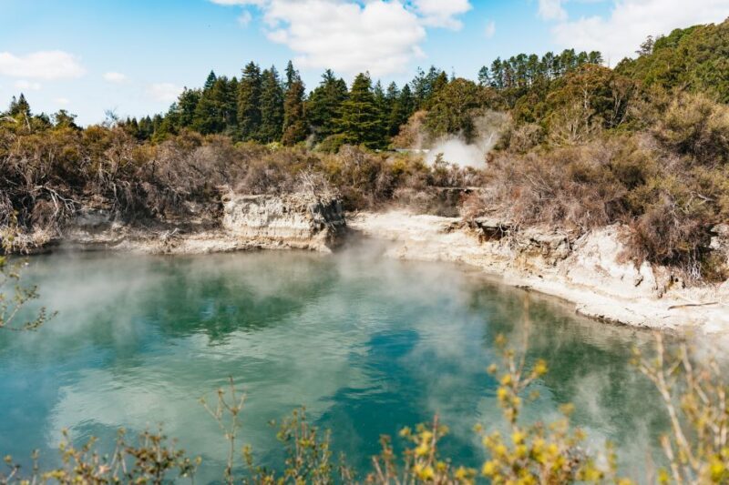 Whakarewarewa: Self-Guided Geothermal Trails - Who Will Love This Experience?