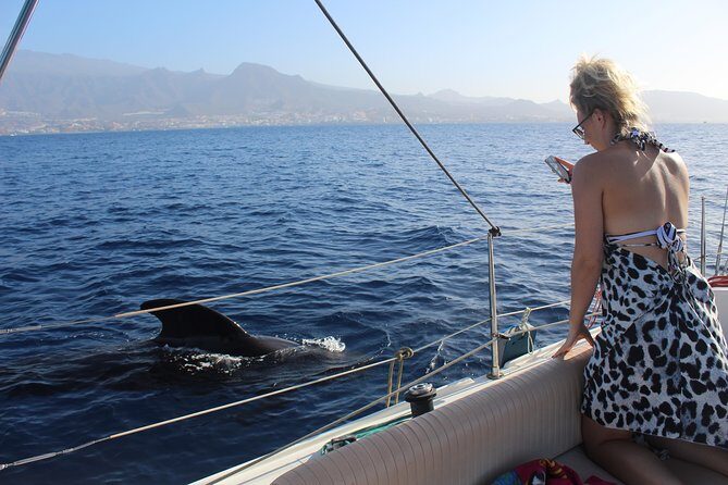 Whale and Dolphin Small Group Sailing from Tenerife South - What to Expect on Your Boat Trip