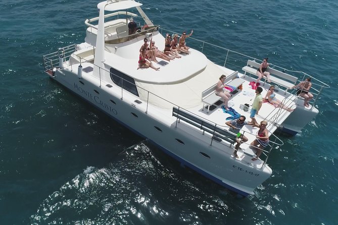 Whale and Dolphin Watching Catamaran with Transfer and Buffet - The Practical Details That Make a Difference