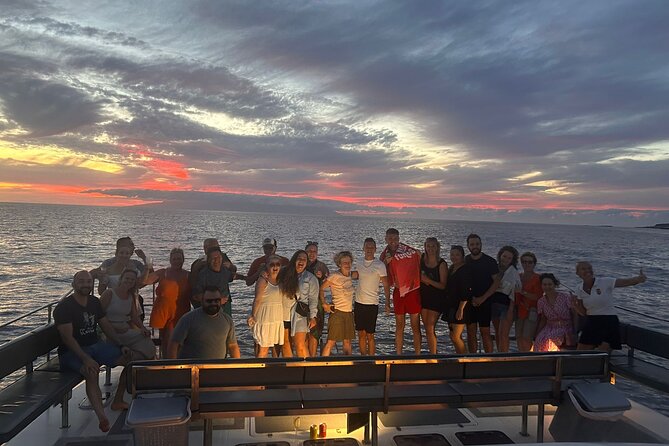 Whale and Dolphin Watching Catamaran with Transfer and Buffet - Who Should Book This Tour