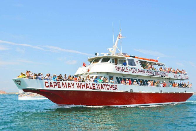 Whale and Dolphin Watching Cruise from Cape May - Group Size and Booking