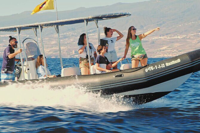 Whale and Dolphin Watching EcoAdventure in Tenerife - Who Would Enjoy This Tour?
