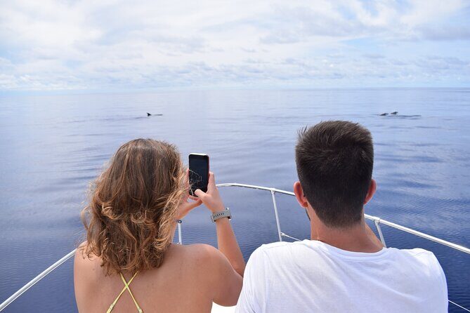 Whale and Dolphin Watching Tour in Madeira - Pricing and Value