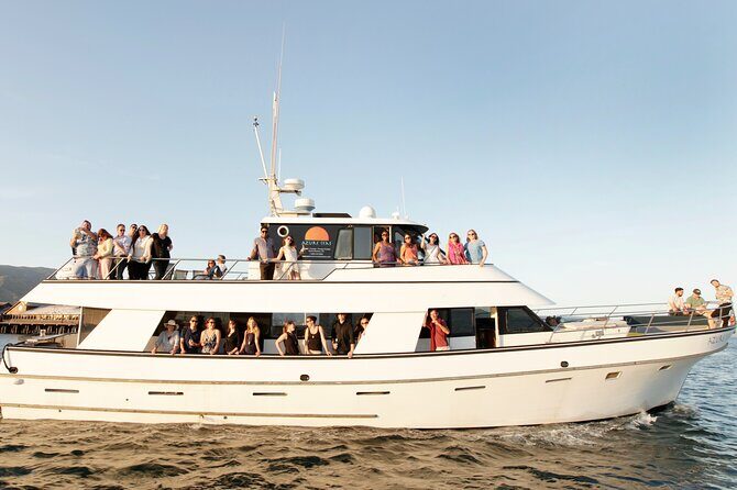 Whale and Wildlife Yacht Cruise in Santa Barbara - The Experience: What to Expect from the Tour
