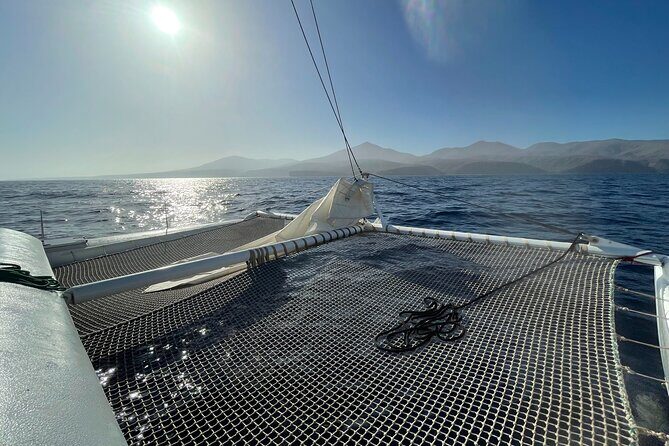 Whale & Dolphin Observation on Silent Catamaran with Hydrophone - Key Points