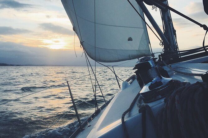 Whale & Dolphin Watching Boat Trip in Tenerife On a Sailing Boat (3 Hr) - Setting the Scene: What to Expect on Your Trip