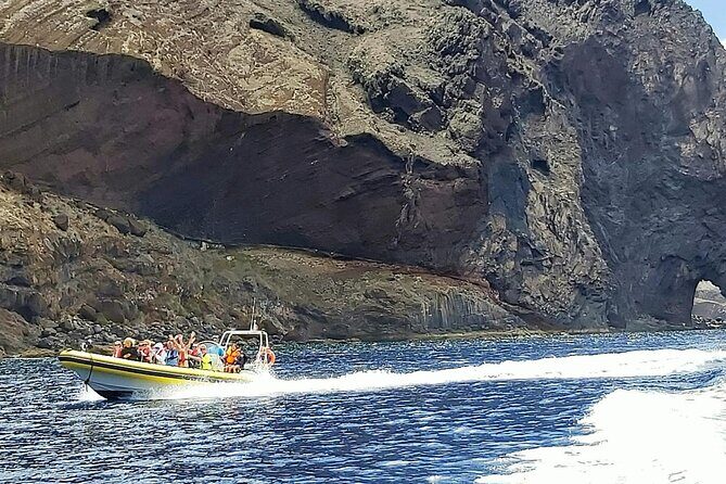 Whale & Dolphin Watching in Madeira - FAQs