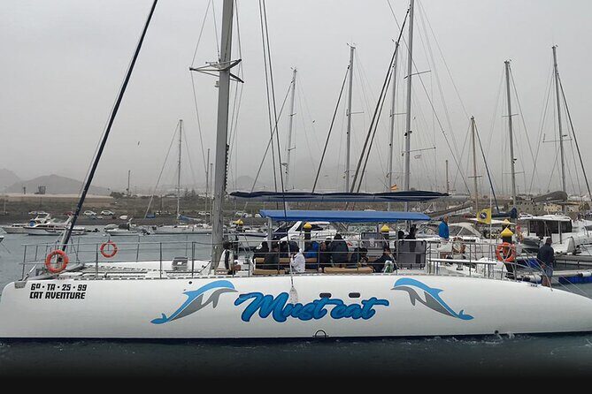 Whale & Dolphin Watching With Mustcat Virgin Coast Trip On a Large Catamaran - How the Trip Feels in Practice