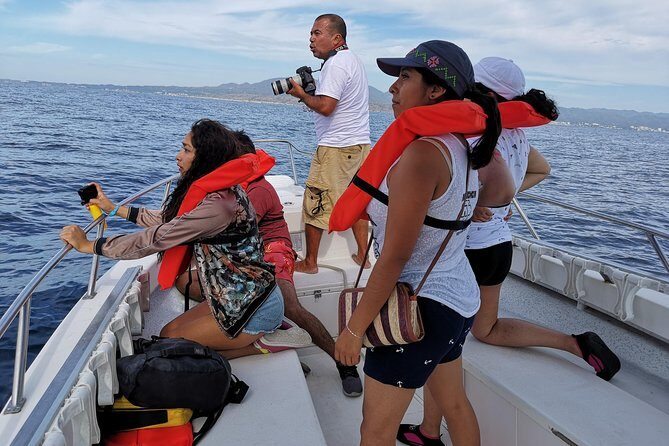 Whale Encounter Puerto Vallarta - How the Itinerary Unfolds