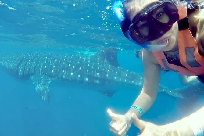 Whale Shark Adventure in Isla Mujeres and Cancun - FAQ