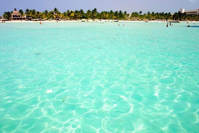 Whale Shark Encounter Experience in Cancun (Snack Lunch included) - Final Thoughts