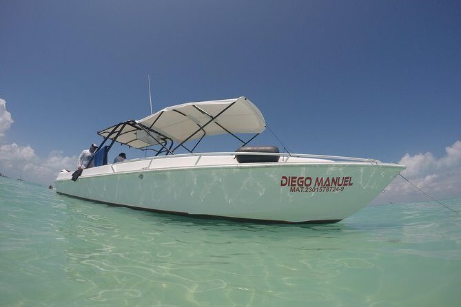 Whale shark encounter Private tour - swim with whale shark cancun - Frequently Asked Questions