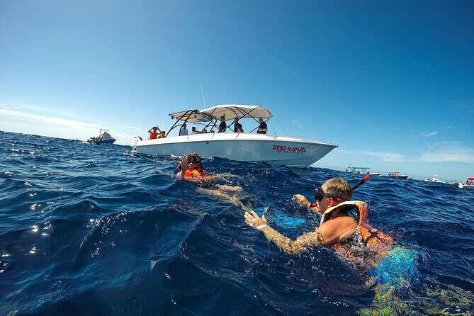 Whale Shark Snorkeling Adventure with Lunch - Who Will Love This Tour