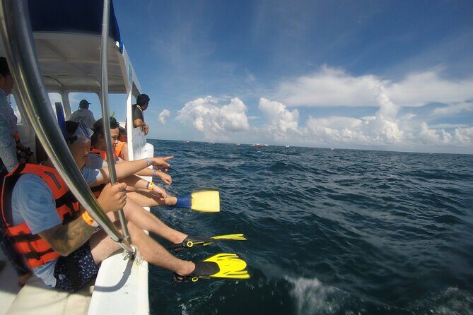 Whale Shark Tour Isla Mujeres - Key Points