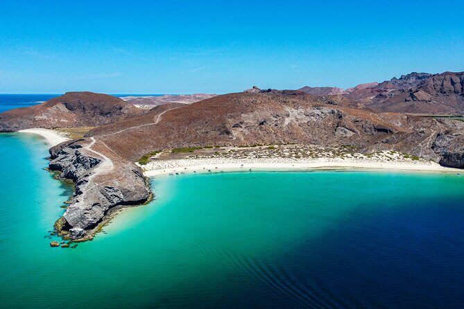 Whale sharks and sea lions snorkeling plus Balandra beach lunch - Exploring the La Paz Whale Shark and Sea Lion Snorkeling Tour: A Detailed Look