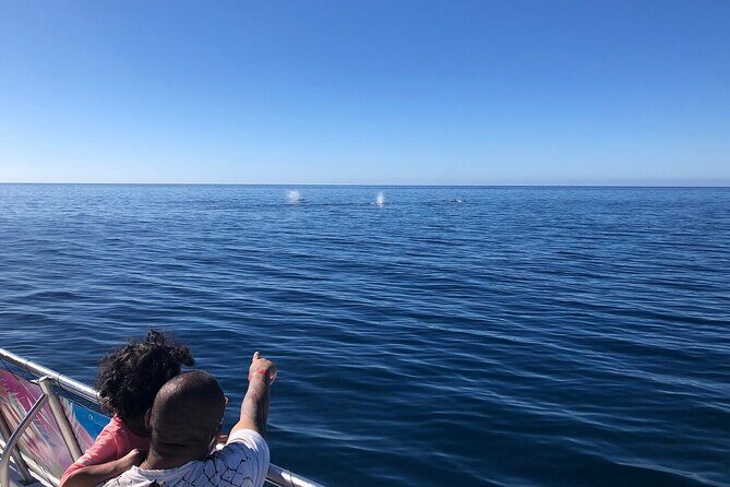 Whale Tour, Sail to Cabo San Lucas Arc + Food - Practical Details & Tips