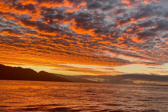 Whale Watch and Scenic Tour from Kayak - Detailed Itinerary Breakdown