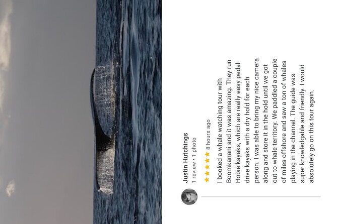 Whale Watch and Scenic Tour from Kayak - FAQ