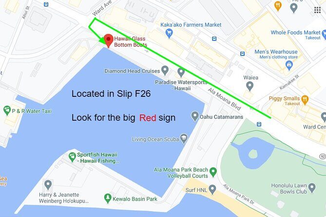 Whale Watch, Dolphins, Turtles and Sightseeing Cruise - Frequently Asked Questions