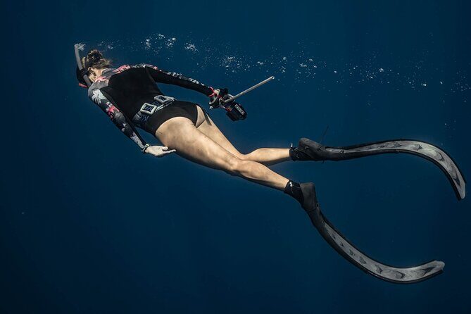 Whale watching 6 people half day - FAQ About This Whale Watching Tour