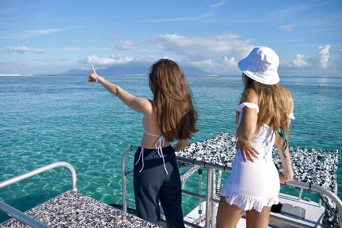 Whale Watching Activity - Experience Breakdown: What to Expect from the Tour