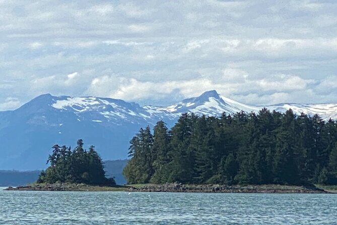 Whale Watching Adventure in Juneau - Who Should Book This Tour?