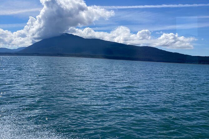 Whale Watching Adventure in Juneau - FAQ