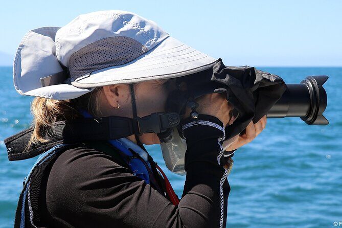 Whale Watching Adventure - leaded by marine biologist. - Final Recommendation