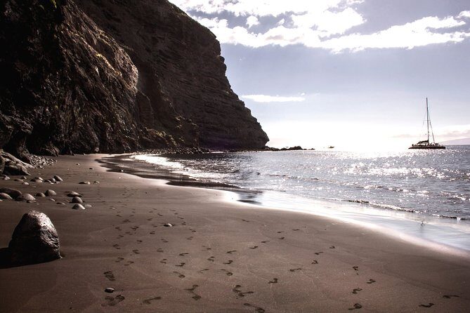 Whale watching and listening Eco-Catamaran Tour with Food Tasting - Who Would Love This Tour?