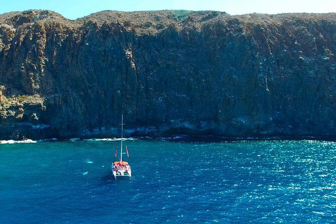 Whale Watching and Listening Eco Catamaran Tour with Food Tasting - An In-Depth Look at the Experience