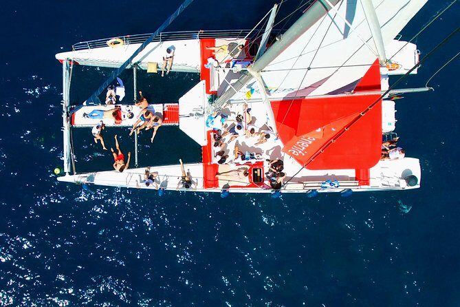 Whale Watching and Listening Eco Catamaran Tour with Food Tasting - Frequently Asked Questions