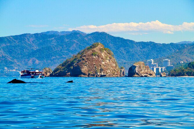 Whale Watching and Los Arcos 5 Islands Adventure - Cruising the Bay of Banderas