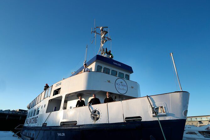 Whale Watching and Marine Life Tour in Reykjavik - Setting the Scene: What to Expect on This Tour