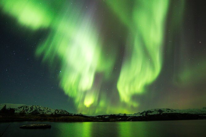 Whale Watching and Northern Lights Half-Day Combo Tour - What to Expect from the Tour