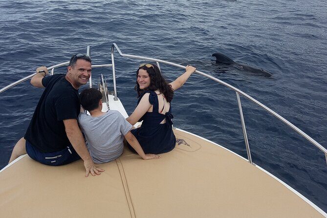 Whale watching and snorkelling in the whale sanctuary - Price and Value