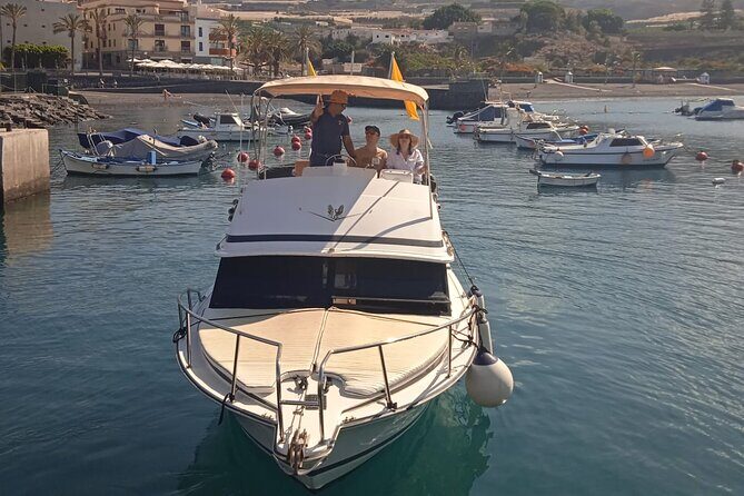 Whale watching and snorkelling in the whale sanctuary - Practical Considerations