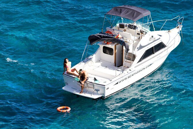 Whale watching and snorkelling in the whale sanctuary - FAQ