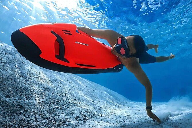 Whale Watching Bora Bora - Who Will Enjoy This Tour?