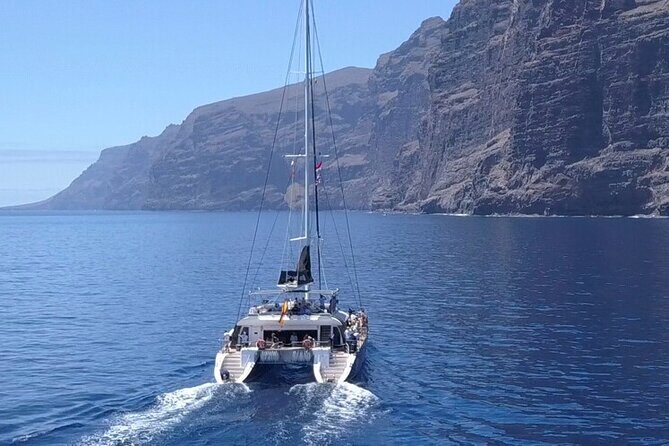 Whale Watching Catamaran to Los Gigantes & Masca (Including drinks & warm lunch) - Exploring the Tenerife Whale Watching Catamaran Tour: An Honest Look