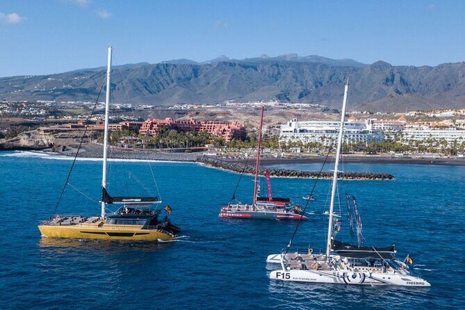 Whale Watching Catamaran to Los Gigantes & Masca (Including drinks & warm lunch) - Who Should Consider This Tour?