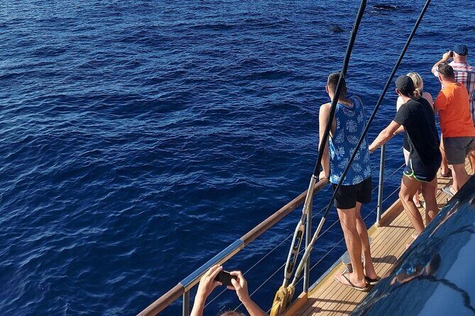 Whale Watching Catamaran to Los Gigantes & Masca (Including drinks & warm lunch) - Final Thoughts