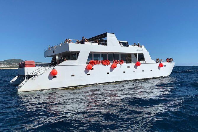 Whale Watching Cruise in Cabos San Lucas and Ground Transportation - FAQ