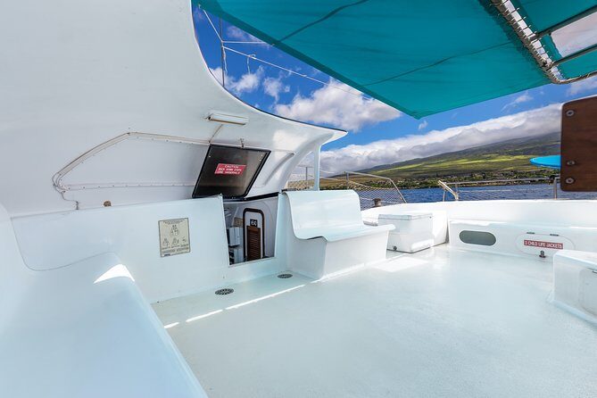 Whale Watching Cruise with Open Bar from Ka'anapali Beach - Final Thoughts