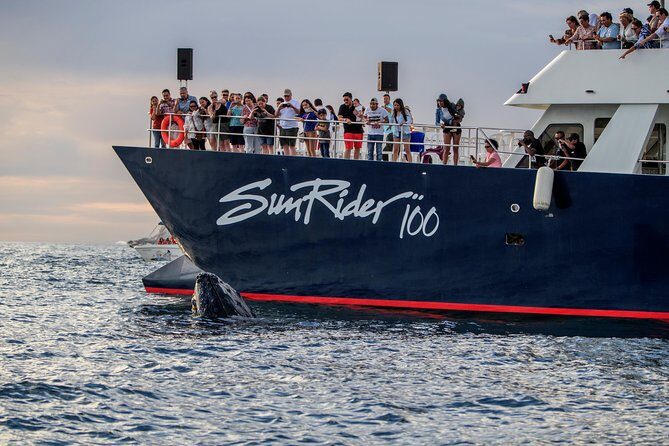 Whale Watching Dinner Cruise in Cabo San Lucas - Authentic Experiences from Reviews