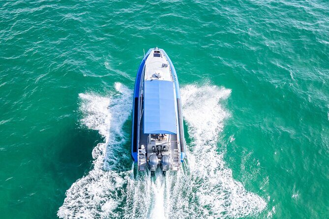 Whale Watching Discovery Tour from Lake Macquarie - Why This Tour Stands Out