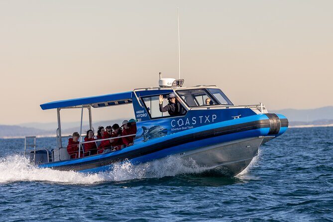 Whale Watching Discovery Tour from Lake Macquarie - Who Would Love This Tour?