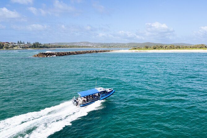 Whale Watching Discovery Tour from Lake Macquarie - Final Thoughts