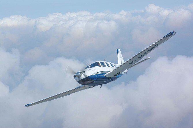 Whale Watching Experience - Final Thoughts