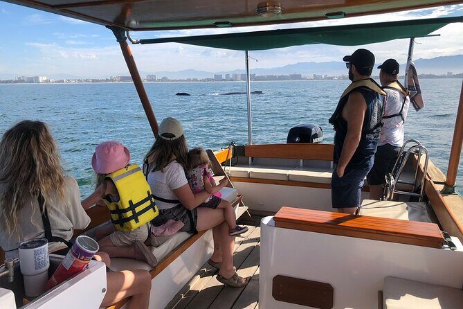 Whale Watching Experience  4 Hours in Puerto Vallarta - Key Points