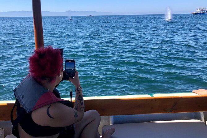 Whale Watching Experience  4 Hours in Puerto Vallarta - What to Expect from Your Whale Watching Adventure
